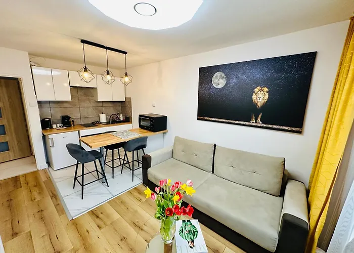 Lion Apartment